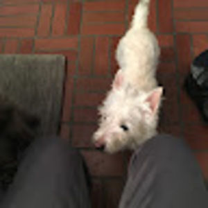 Meet your Posher, Diane